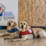 assistancedogs-header-2-web